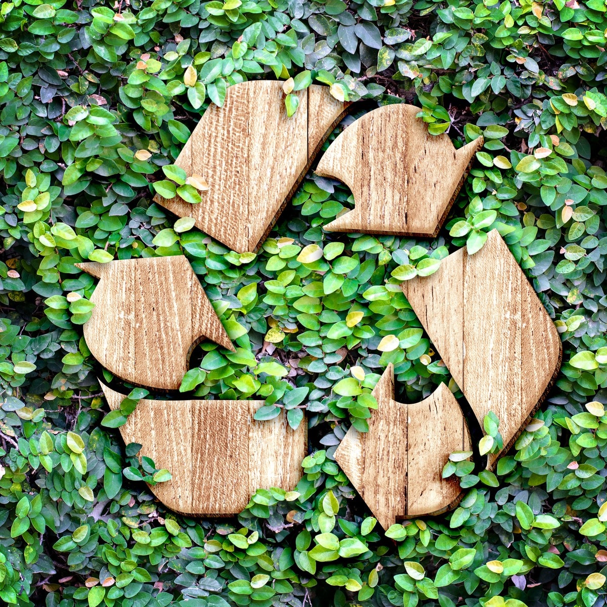 Desjardins signs an agreement with Call2Recycle to facilitate battery ...