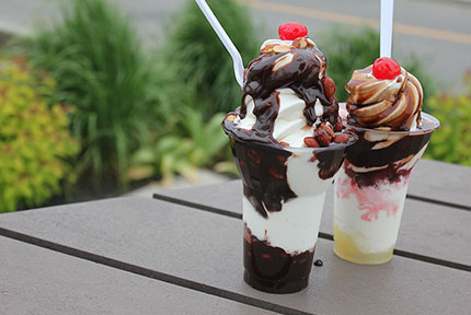 Caisse Desjardins De Trois Rivières Trois Rivières