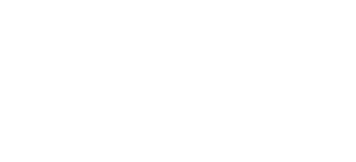 Independent brand - Desjardins Financial Security Independent Network logo – renv 
– French