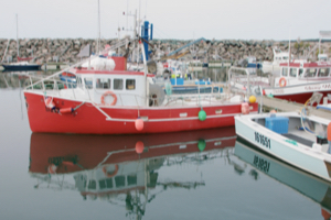 Boats in a fishing port