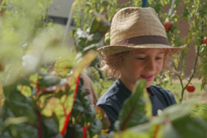 A young boy wearing a straw hat, in a vegetable garden