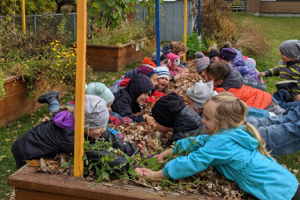 A group of young kids leaning over a planter box in the school's vegetable garden