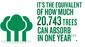 It's the equivalent of how much 20,743 trees can absorb in one year.